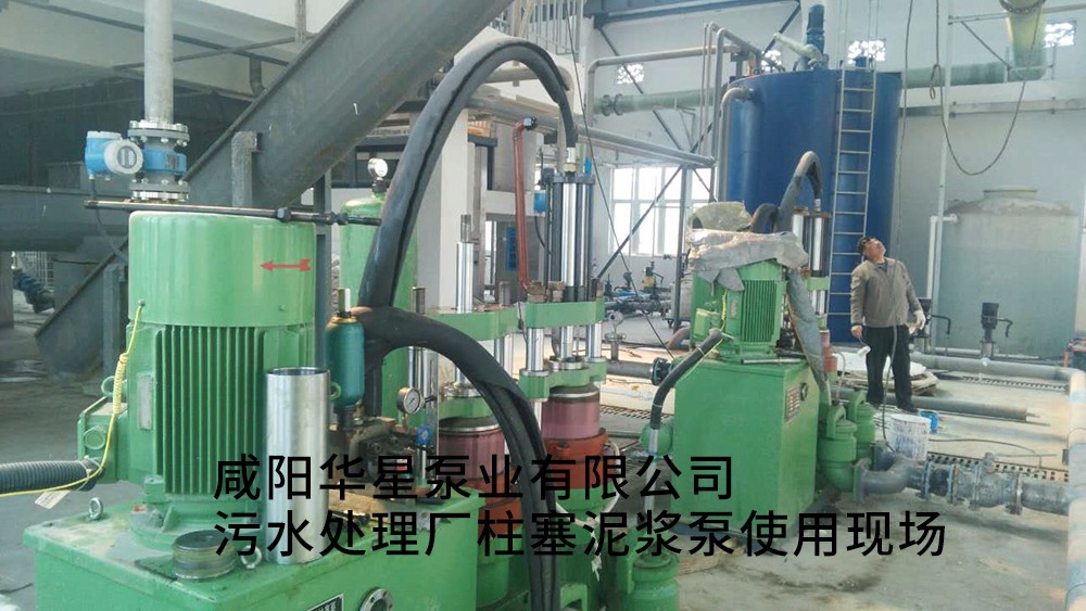 安徽池州清溪污水處理廠-水印